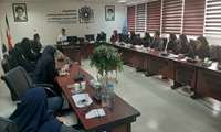 کارگاه آموزشی آشنایی با اختلال های روانشناختی ویژه اساتید مشاور برگزار شد